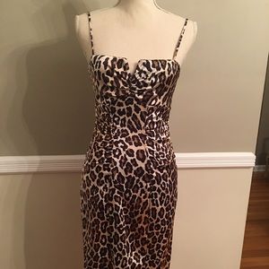 Cache stretch leopard dress